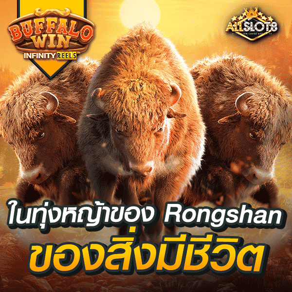 สล็อต-buffalo-win